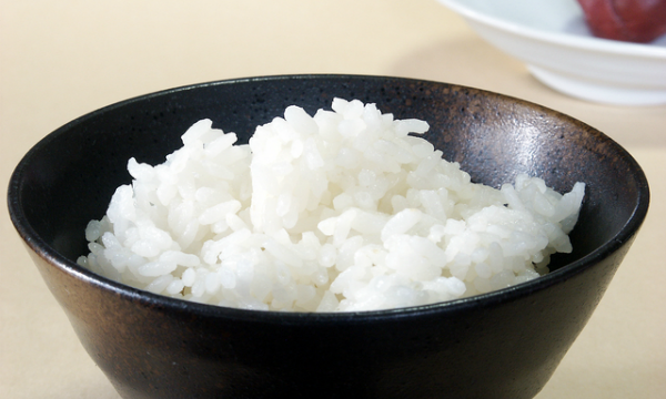 ご飯の保存 冷凍